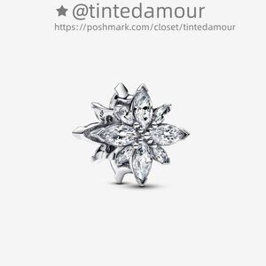 Pandora Sparkling North Star Charm|Pendant